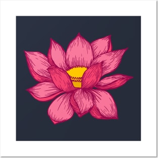 Pink Lotus Flower Posters and Art